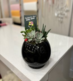 Öğretmenler Günü Fanusta Bitki Aranjmanı